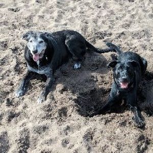 Meet your Posher, Jacklyn